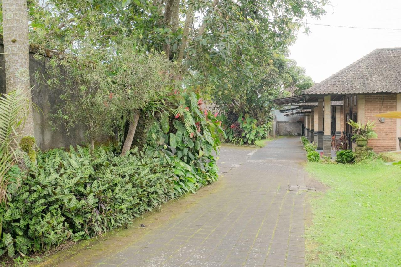 Pelangi Homestay Bedugul Redpartner ภายนอก รูปภาพ